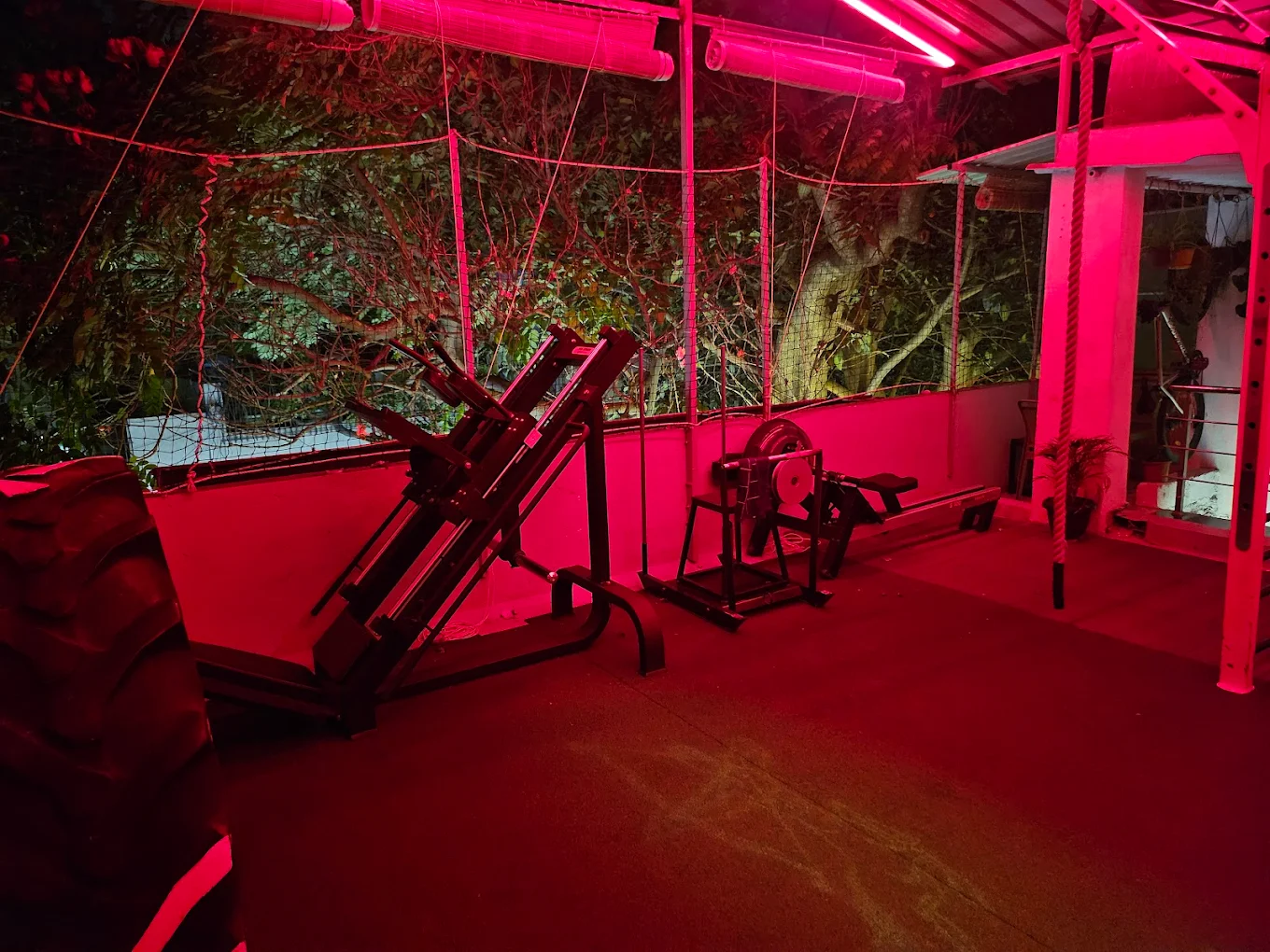 Calisthenics Program